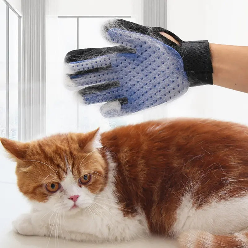 Gants de massage pour l'épilation des poils d'animaux 🐾 | Parfaits pour les chats et les chiens !